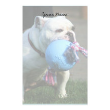 English bulldog stationary stationery