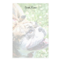 English Bulldog stationary Stationery Paper