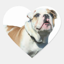 English bulldog sticker