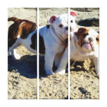 English Bulldogs Puppy Love Wrapped Canvas Canvas Prints