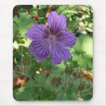 English cottage garden mousepad