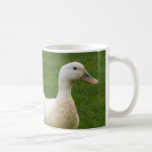English Ducks Mug