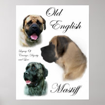 English Mastiff Art Prints