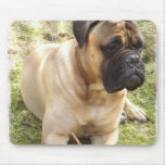 English Mastiff Mouse Pad