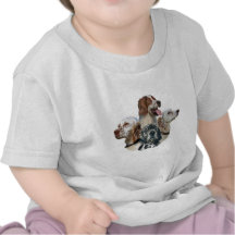 English Setter Can't Have Just One Shirts
