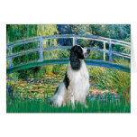 English Springer 7 - Bridge Cards