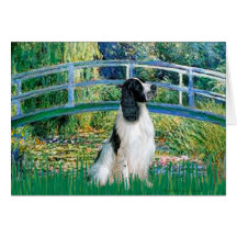 English Springer 7 - Bridge Cards