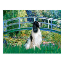 English Springer 7 - Bridge Post Card