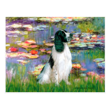 English Springer 7 - Lilies 2 Post Cards