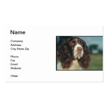 English Springer Spaniel Business Card