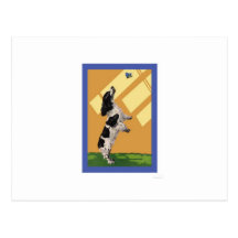 English Springer Spaniel Postcards