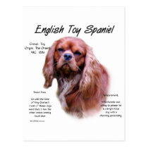 English Toy Spaniel (ruby) History Design postcards