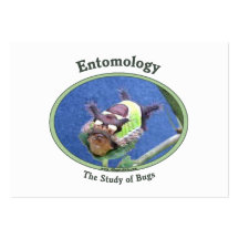 Entomology Caterpillar Bug Business Card Templates