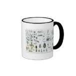 Entomology Insects Coffee Mug