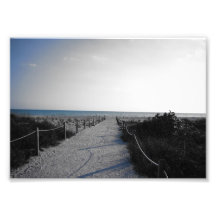 Entrance to the Beach Photo