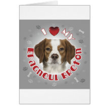 Epagneul Breton Card