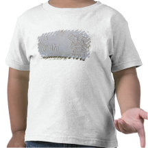 Epitaph with a relief of the Good Shepherd Tee Shirt