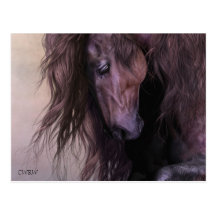 Equus Postcard