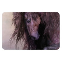 Equus Premium Flexi Magnet
