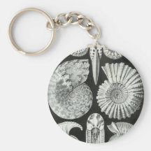 Ernst Haeckel - Ammonitida Key Chain