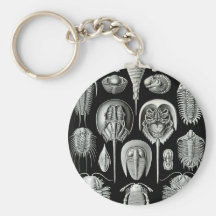 Ernst Haeckel - Aspidonia Keychain