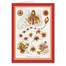 Ernst Haeckel - Kuntsformen der Nature - Tafel 7 Greeting Card