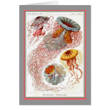 Ernst Haeckel - Kuntsformen der Nature - Tafel 8 Greeting Card