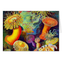 Ernst Haeckel's Sea Anemones Greeting Card