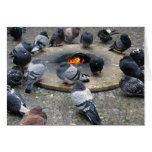 Eternal Flame Card cards