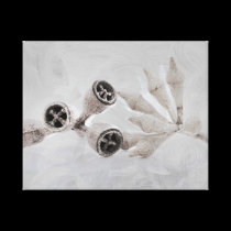 Eucalyptus capsules canvas prints