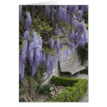 Europe, Austria, Salzburg Stadt, Salzburg, Greeting Cards