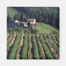 Europe, Italy, Tuscany. Scenic villa cyprus. Magnets