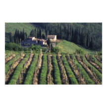 Europe, Italy, Tuscany. Scenic villa cyprus. Photo