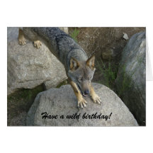 European grey wolf birthday card