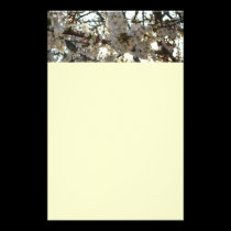 Evening Cherry Blossoms Stationery stationery