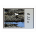 Every Spring Haiku Postcard