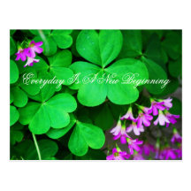 Everyday Is A New Beginning Postcards