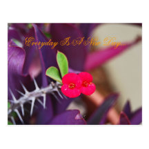 Everyday Is A New Day... Postcard