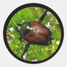 Evil Beauty Sticker