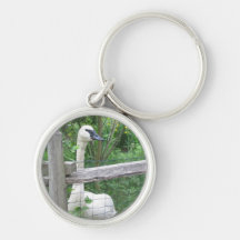 Evil Bird Key Chain