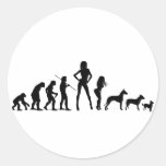 Evolution Goes to the Dogs Stickers