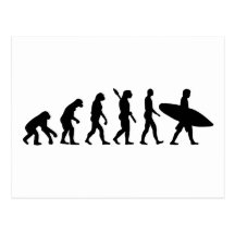 Evolution surfing surf board postcards