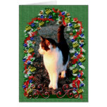 Example cards