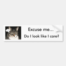 Excuse me..., Do I look like I care? Bumper Stickers