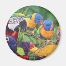 "Exotic Beauty" Magnets