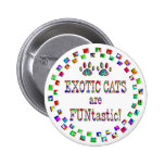 Exotic Cats are FUNtastic Pin