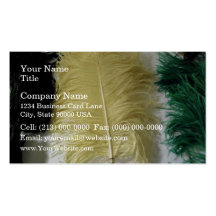 Exotic Colourful Feathers Business Card Templates
