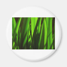 exotic grass - green magnets