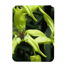 Exotic Orchids Premium Magnet