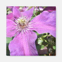 Exotic Purple Flower Fridge Magnets